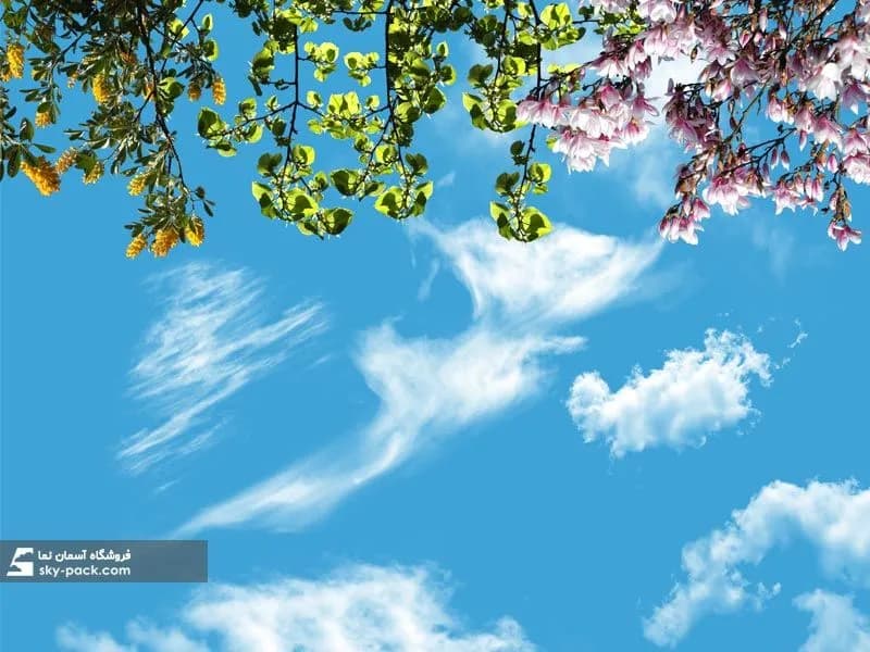 آسمان مجازی طرح گلها و برگهای ریزان — تصویر ۲
