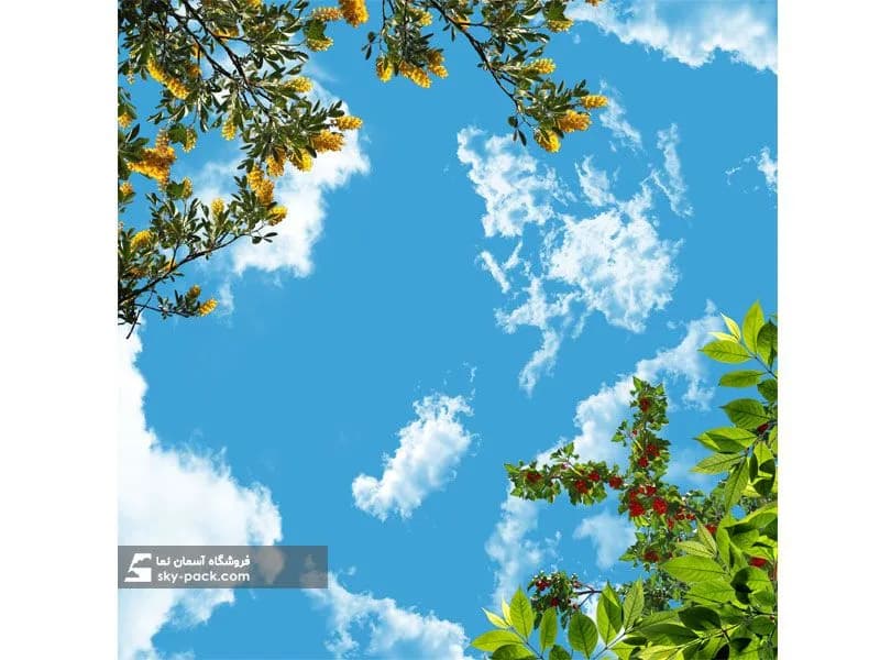 آسمان مجازی طرح درخت گیلاس و آسمان — تصویر ۲