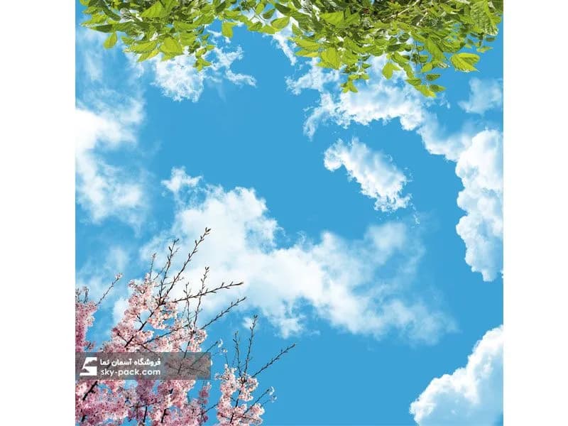 آسمان مجازی طرح درخت توت سفید — تصویر ۲