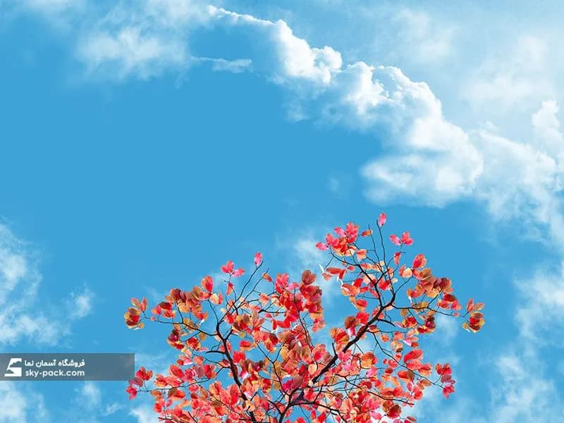 آسمان مجازی طرح پاییز ، کد10190 — تصویر ۲