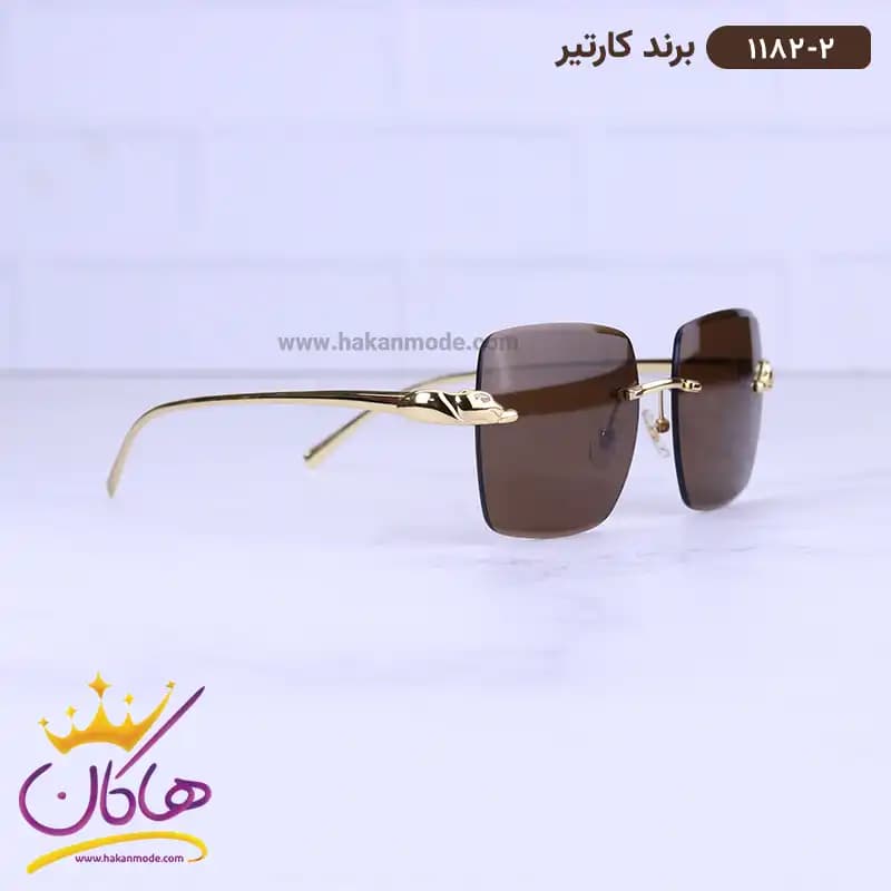 عینک آفتابی مردانه کارتیر فلزی فریم لس 1182/2 — تصویر ۴