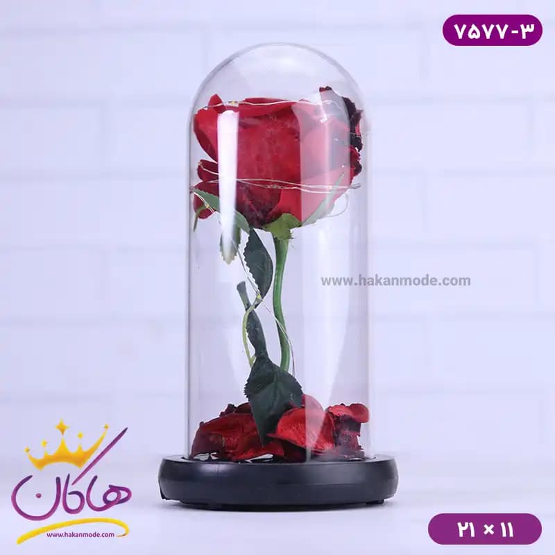 حباب شیشه ای چراغ دار گل قرمز همراه با کابل 7577/3