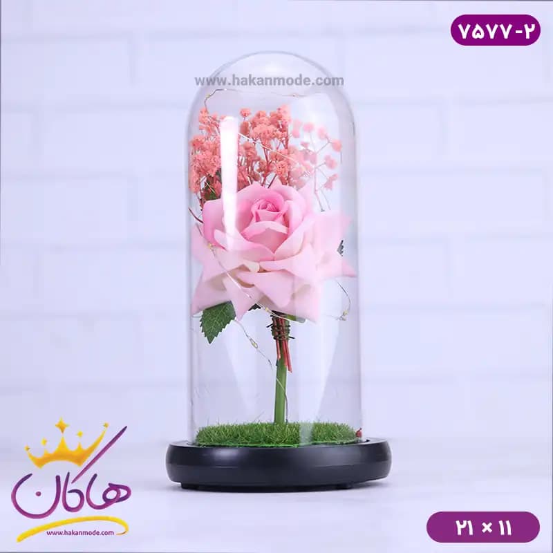 حباب شیشه ای چراغ دار رز و گل عروس همراه با کابل 7577/2