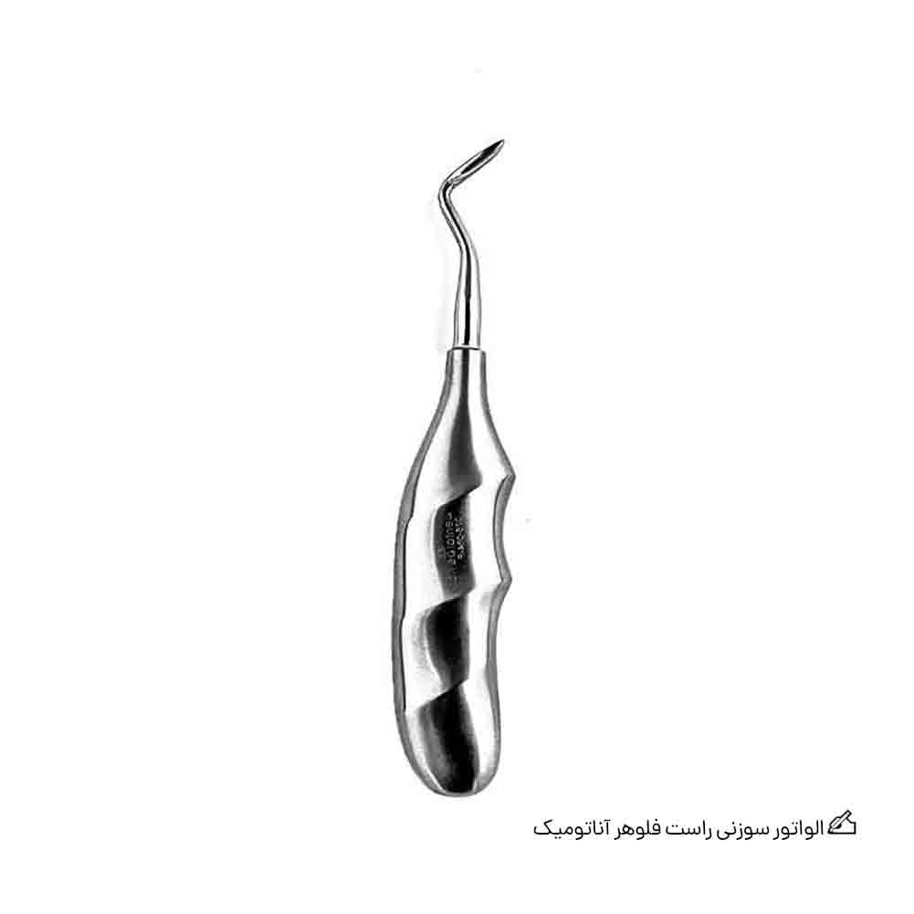 الواتور سوزنی راست فلوهر آناتومیک