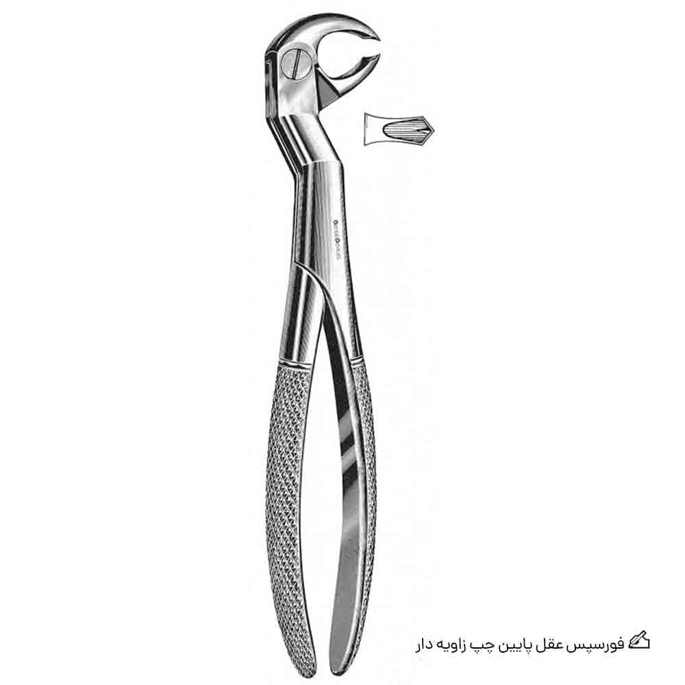 فورسپس عقل پایین چپ زاویه دار