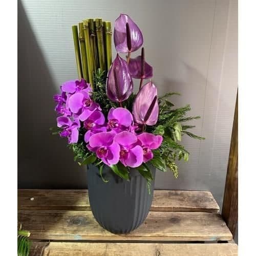 گل فروشی محدوده بیمارستان جردن تهران t3614
