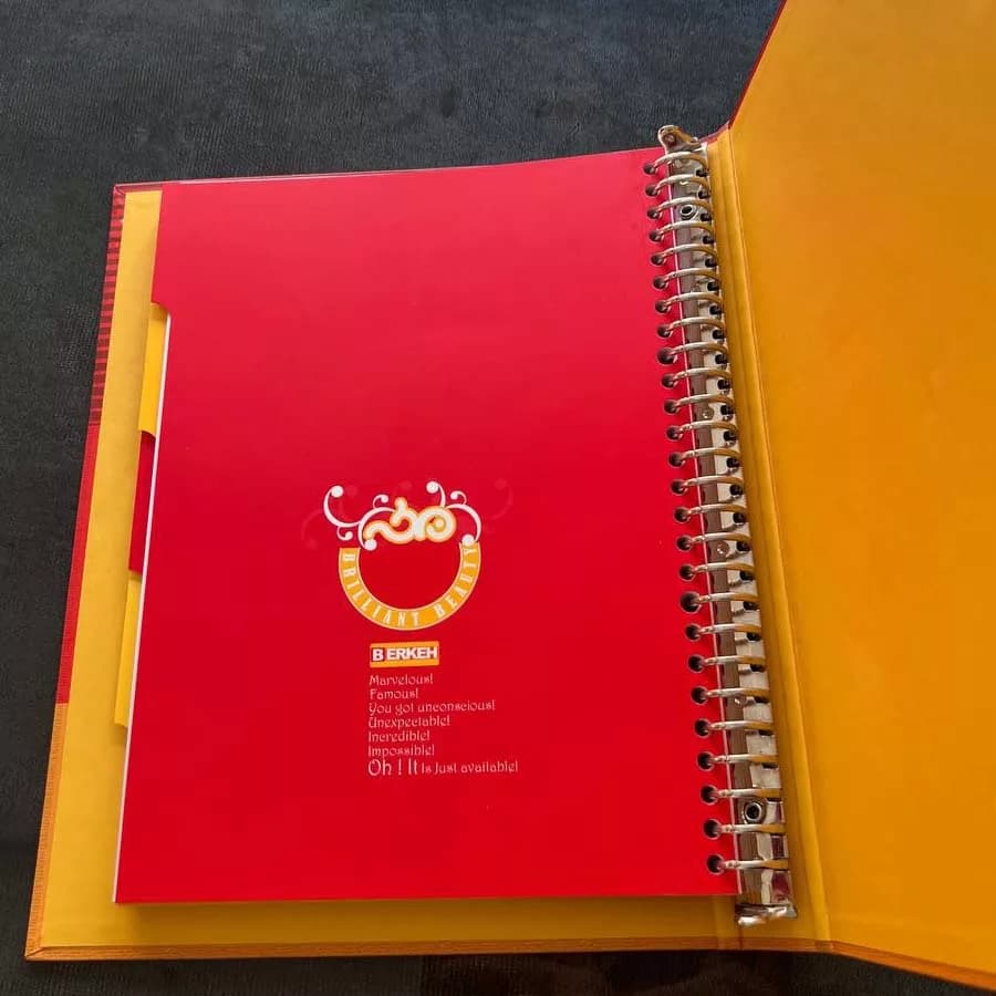 دفتر کلاسوری 100 برگ برکه کد 6110 — تصویر ۳