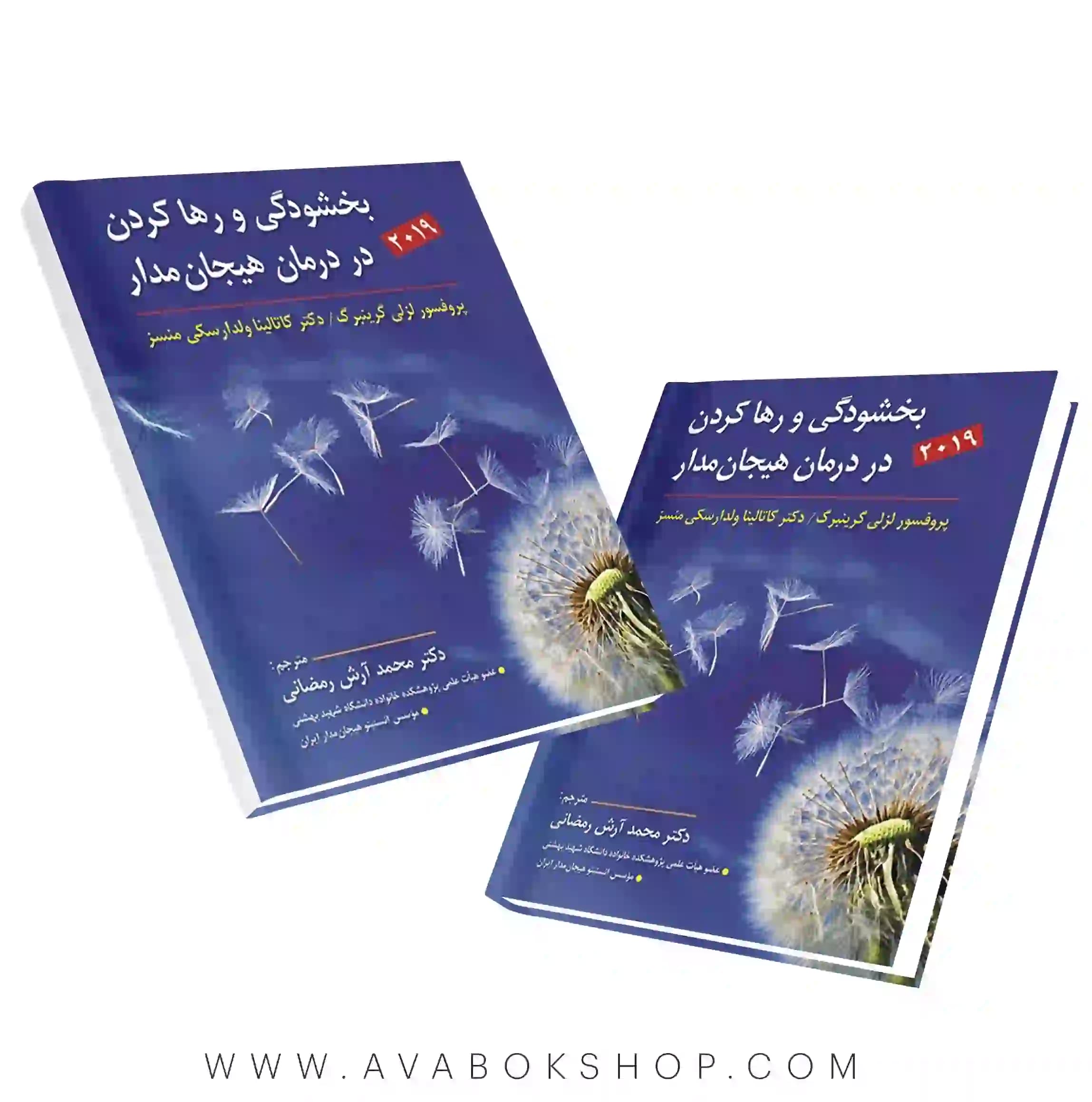 کتاب بخشودگی و رها کردن در درمان هیجان مدار گرینبرگ ترجمه رمضانی انتشارات ارسباران