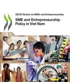 دانلود کتاب SME and entrepreneurship policy in Viet Nam – سیاست های SME و کارآفرینی در ویتنام