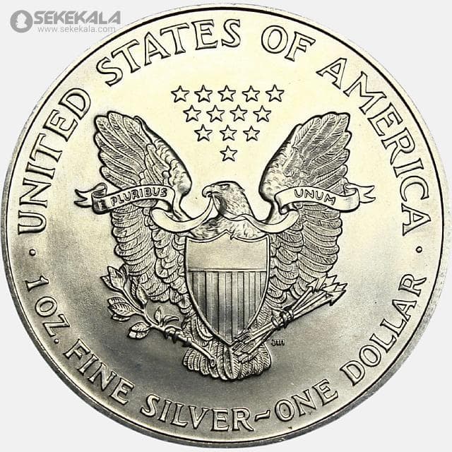 سکه 1 دلار نقره آمریکا 1995 (Silver Eagle) (UNC) — تصویر ۲