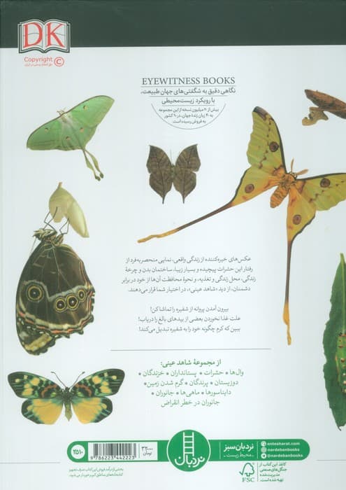 پروانه ها (شاهد عینی)،(گلاسه) — تصویر ۲