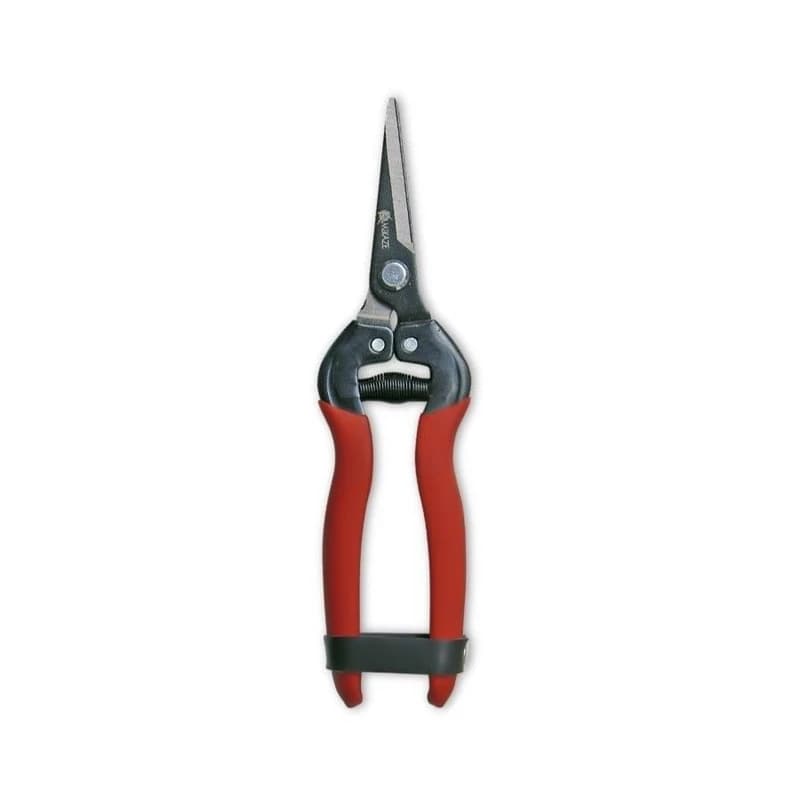 قیچی میوه چینی کامیکازه مدل T556 کدm16315