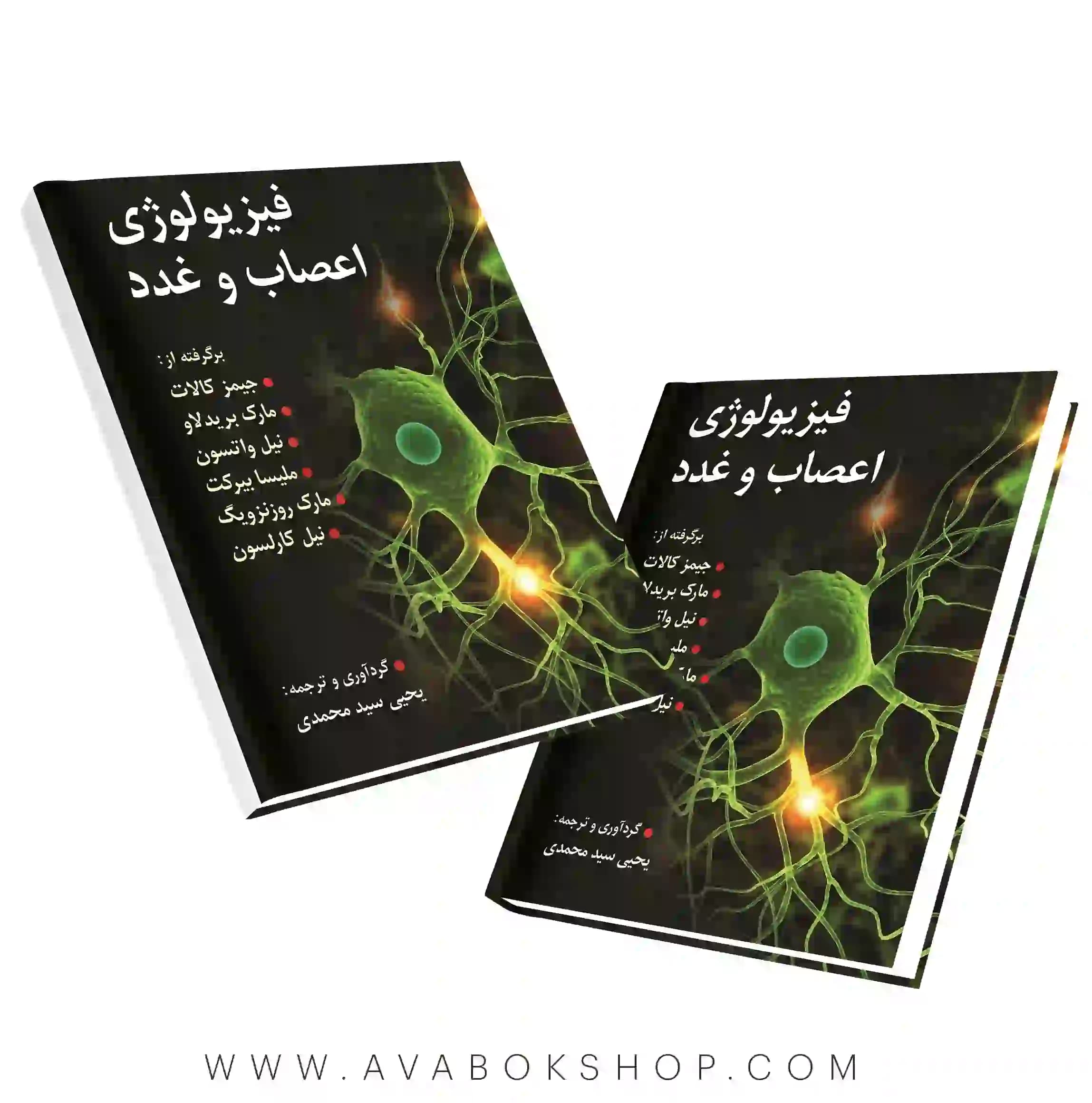 کتاب فیزیولوژی اعصاب و غدد ترجمه یحیی سید محمدی انتشارات روان