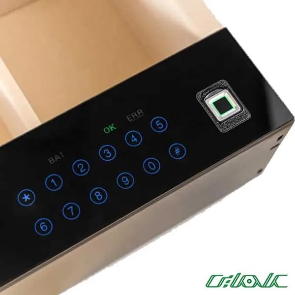 گاو صندوق ریلی دیجیتالی ملونی مدل WS4138FP — تصویر ۲
