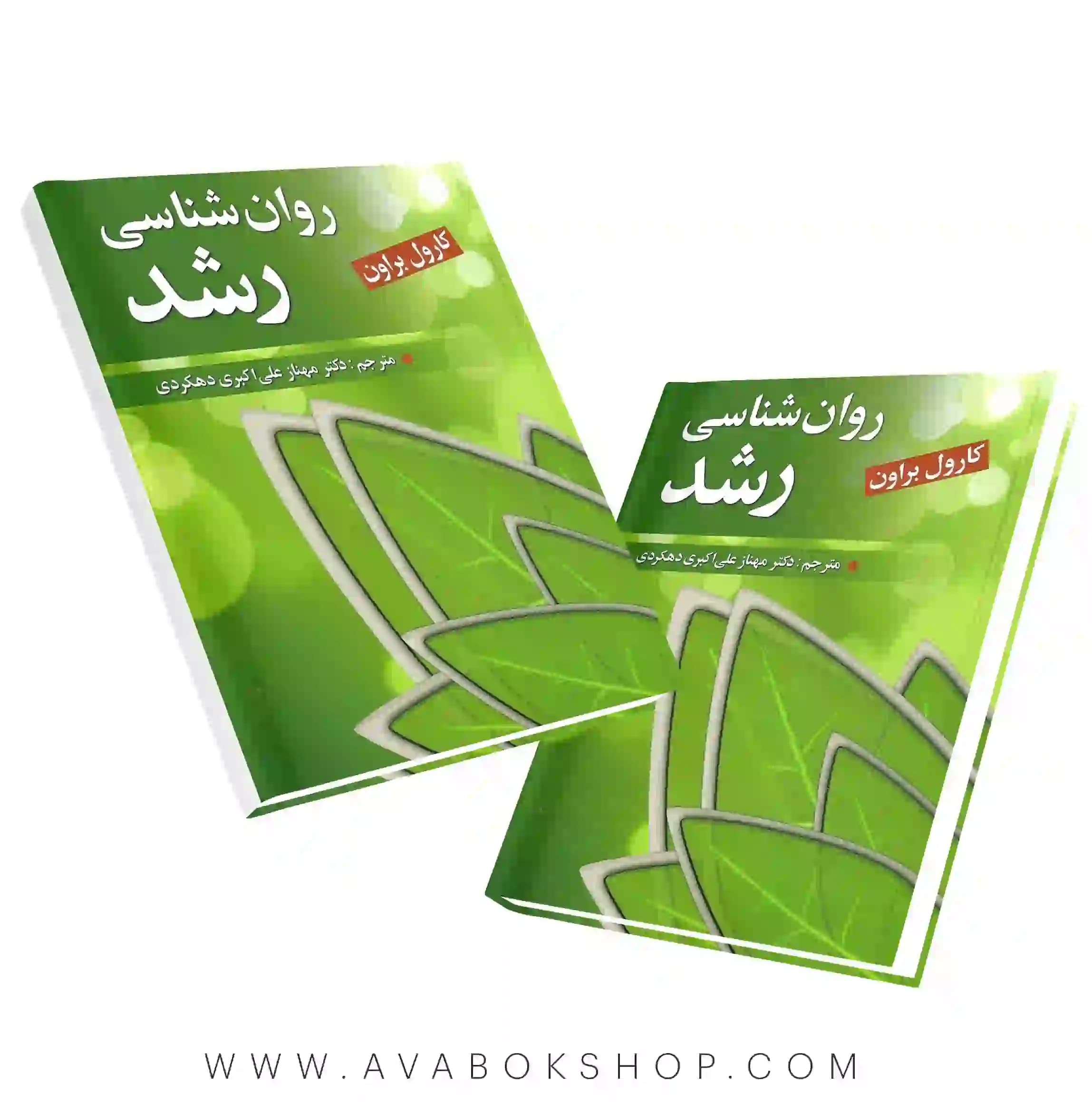 کتاب روانشناسی رشد ترجمه مهناز علی اکبری دهکردی انتشارات روان