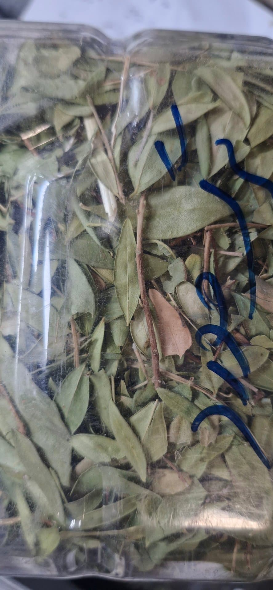 برگ مورد ۷۵ گرم