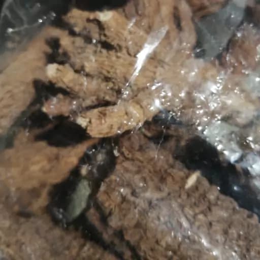 بیخ آزار 100 گرم — تصویر ۲
