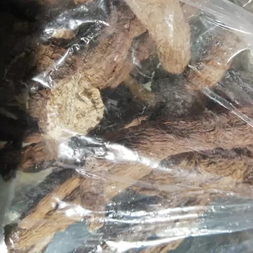 بیخ آزار 100 گرم