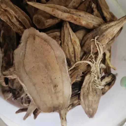 بهمن سفید 75 گرم — تصویر ۲