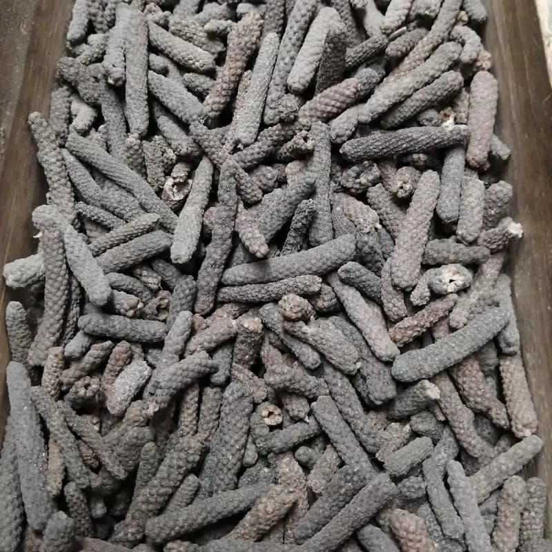 بسوایج 75 گرم