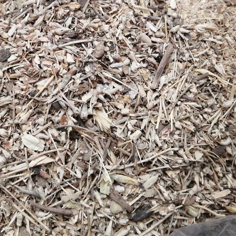 برگ سنجد جهت تقویت باروری یک کیلو
