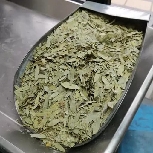 برگ سنا75 گرم