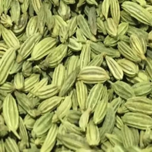 بادیان (رازیانه) 75 گرم — تصویر ۲