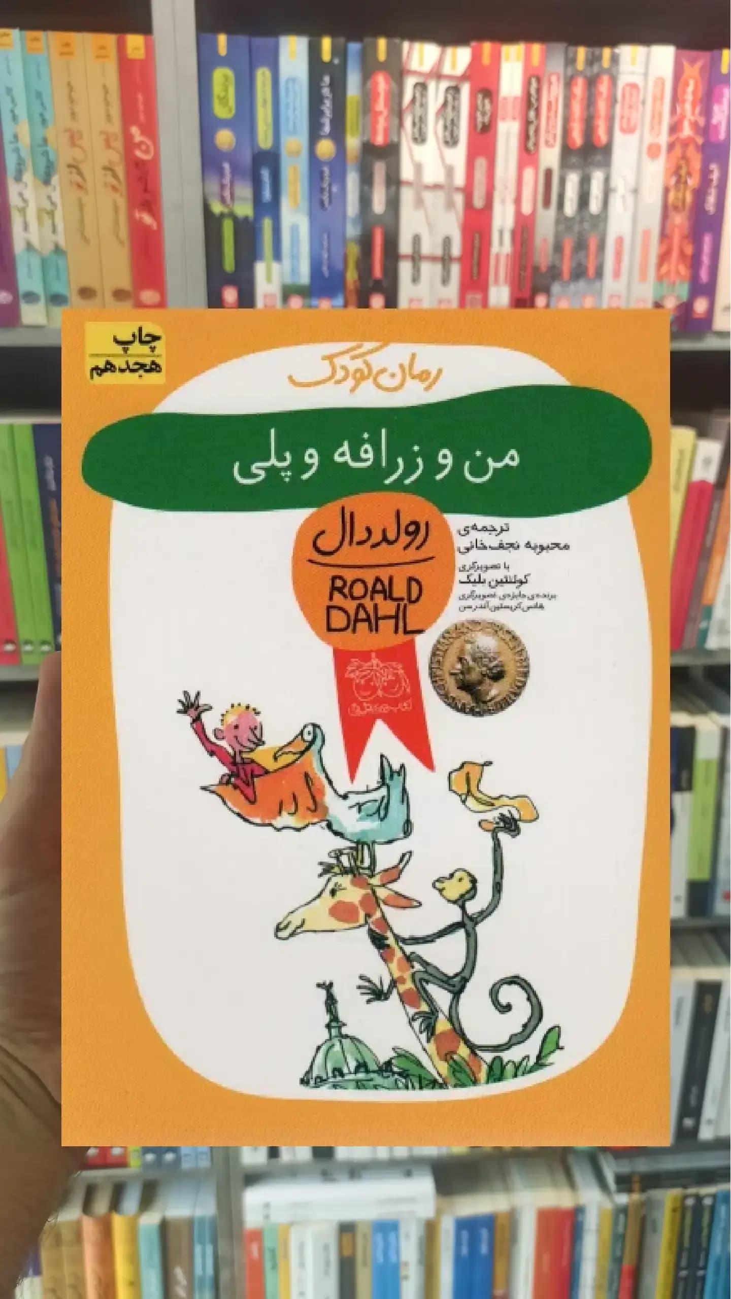 من و زرافه و پلی افق