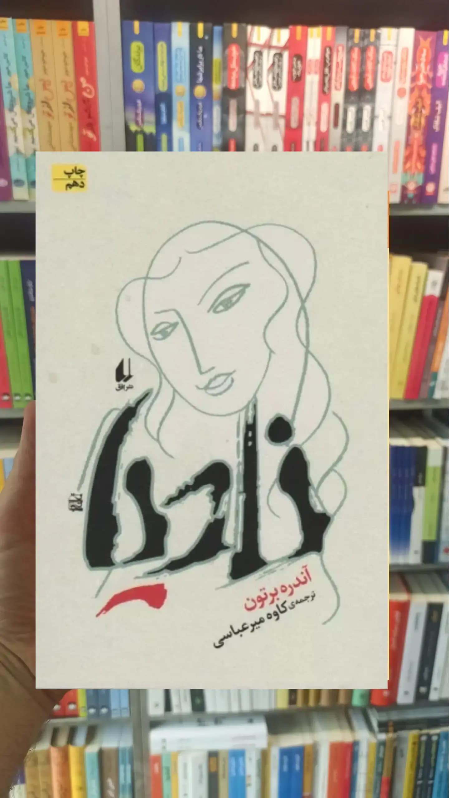 نادیا افق