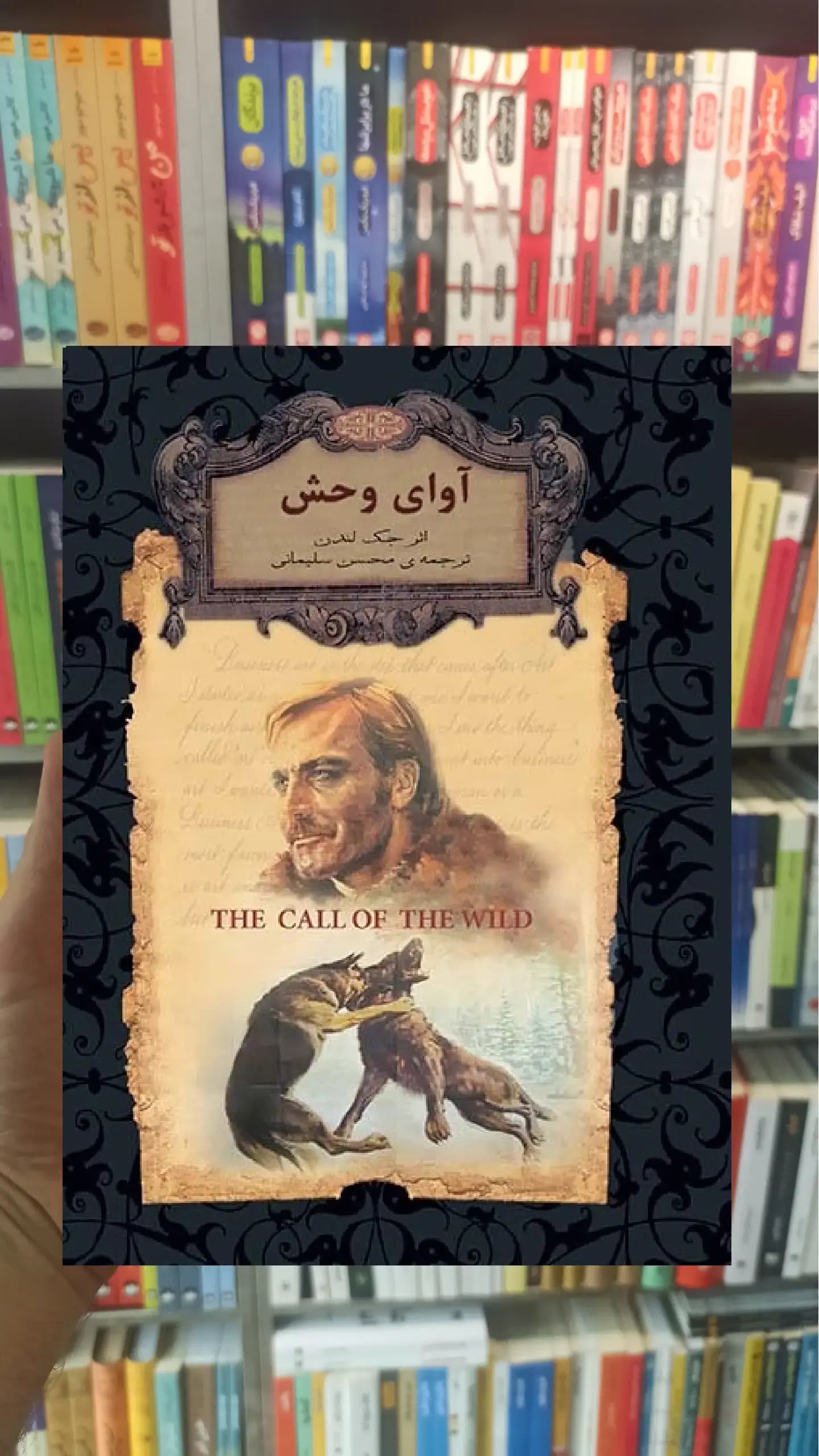 آوای وحش لب طلایی افق