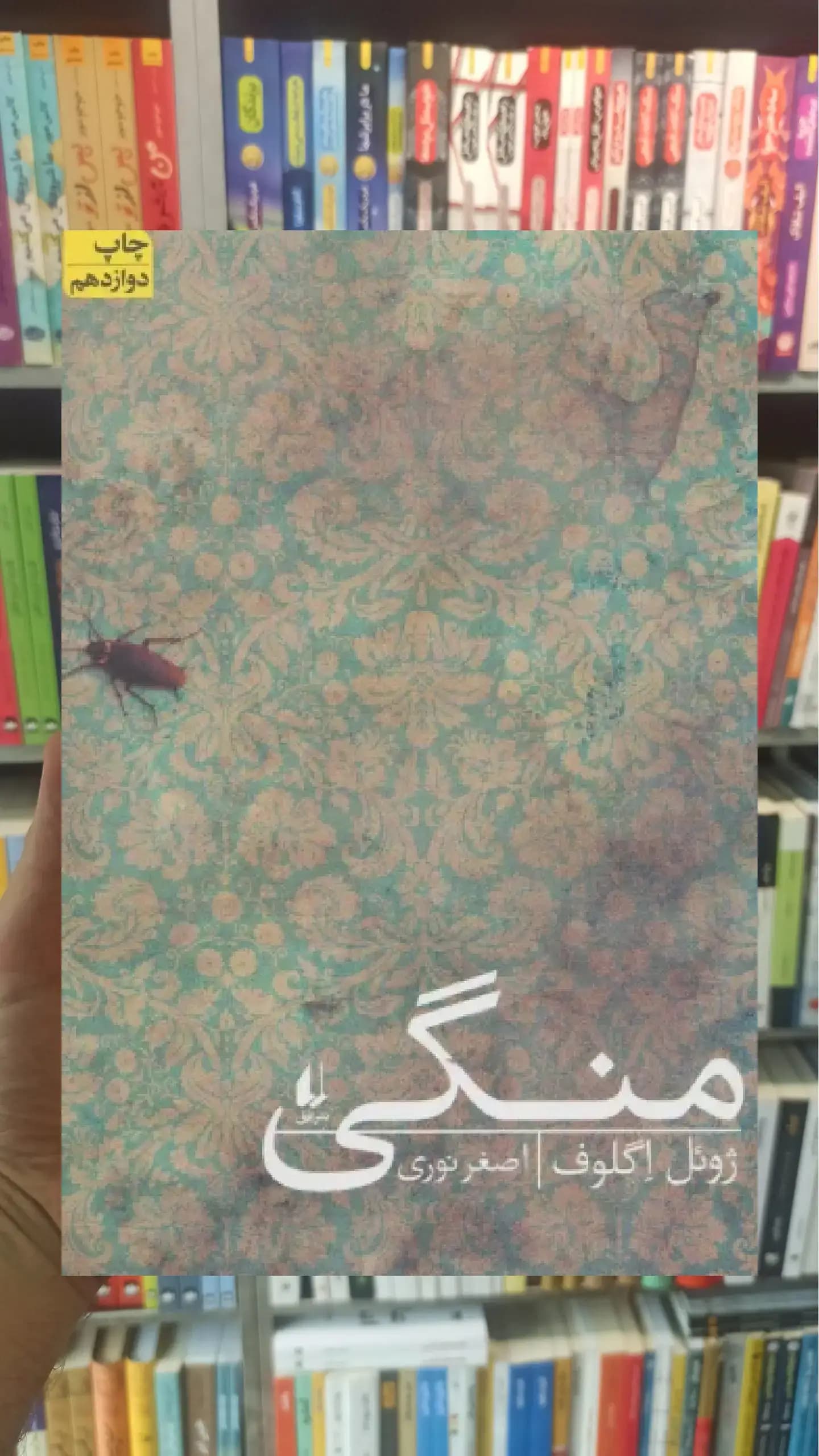 منگی افق