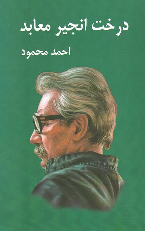 درخت انجیر معابد (2 جلدی)