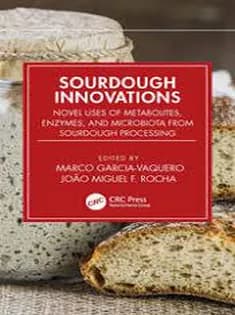 دانلود کتاب Sourdough Innovations