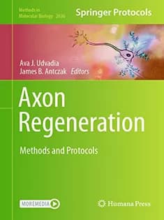 دانلود کتاب Axon Regeneration: Methods and Protocols