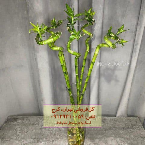 بامبو برای تزئین مکان‌های عمومی
