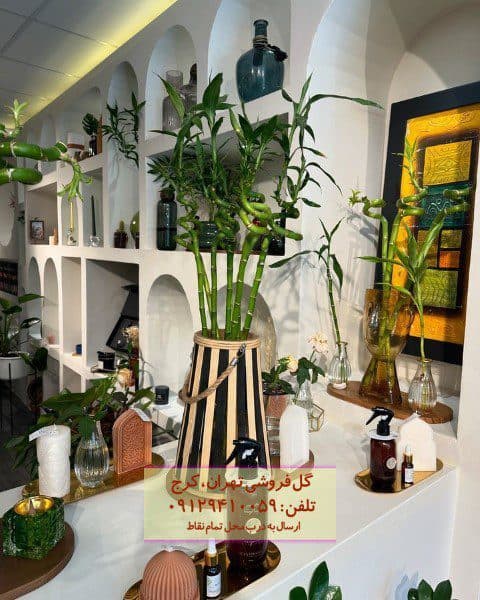 بامبو برای دکوراسیون کافه‌های فضای باز