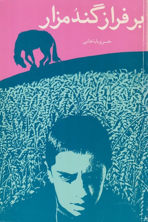 برفراز گند مزار