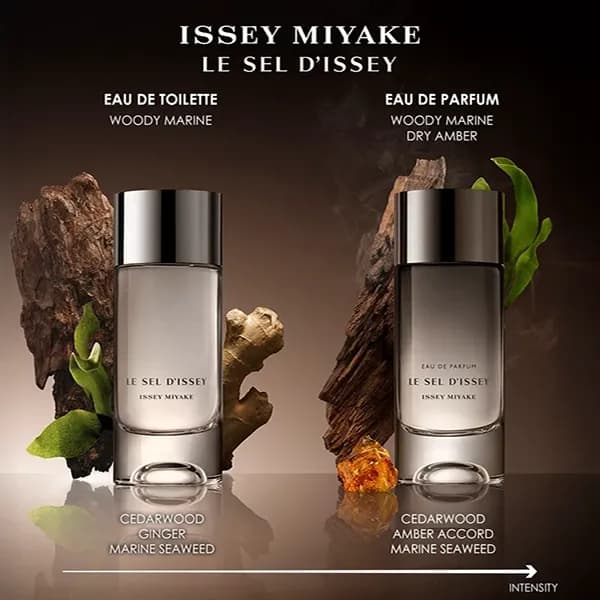 عطر ایسی میاکه له سل دیسی ادو پرفیوم | Issey Miyake Le Sel D’Issey EDP — تصویر ۳