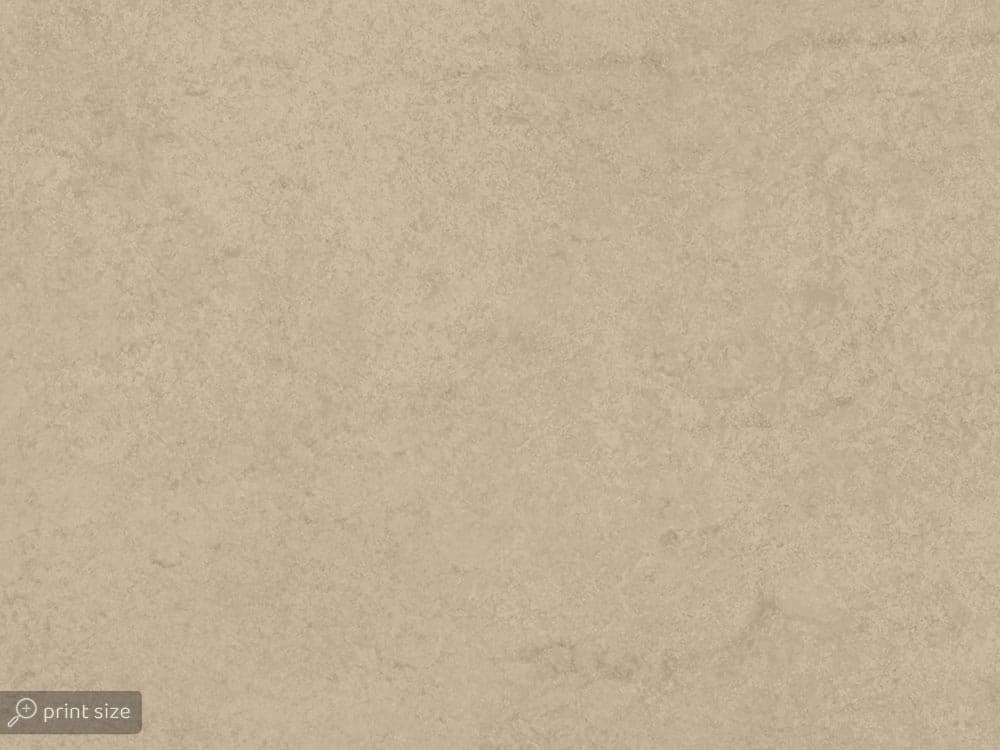 کاغذ دیواری مدل گلدار W10137500 — تصویر ۴