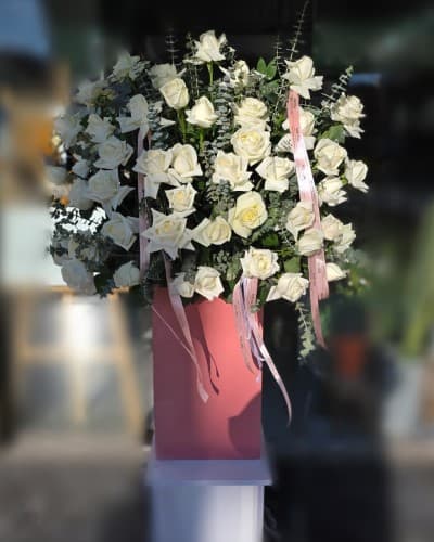 فروشگاه گل و گیاه و گلدان فرجام شرقی 5954