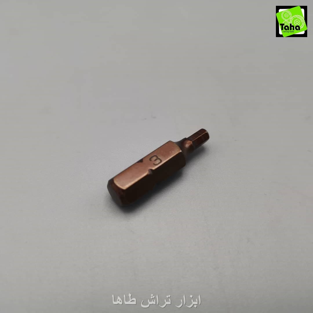 نوک پیچ گوشتی آلنی3-2.5 سانت تایوان