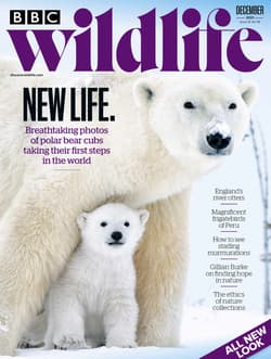 مجله BBC Wildlife؛ دسامبر 2021