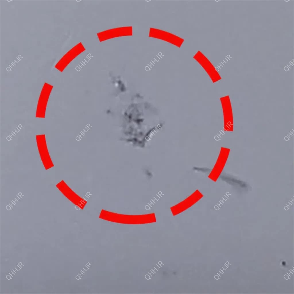 قاب کنار کیبرد لپ تاپ سونی VGN-FW نقره ای بدون شاسی دست دوم — تصویر ۳