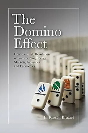 و دانلود نسخه کامل کتاب زبان اصلی The Domino Effect PDF | دانلود کتاب خارجی