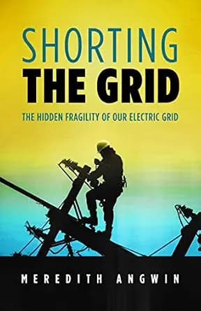 و دانلود نسخه کامل کتاب زبان اصلی Shorting the Grid: The Hidden Fragility of Our Electric Grid PDF | دانلود کتاب خارجی
