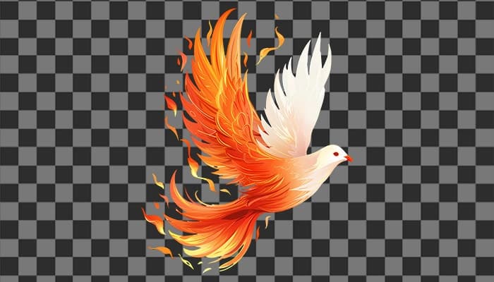 تصویر PNG کبوتر طرح آتش