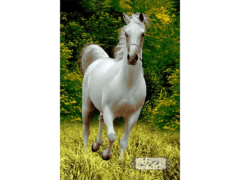 نخ و نقشه تابلو فرش طرح اسب سفید – کد NH3509