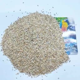غذای طوطیسانان و عروس هلندی -ارزن کتان مخلوط ارزن اصفهان و کتان اردبیل(ارسال پسکرایه) — تصویر ۲