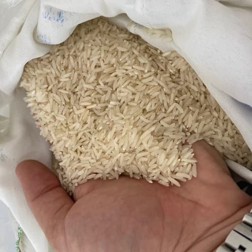 برنج طارم محلی فریدونکنار درجه یک عطری(5کیلویی)+ارسال رایگان
