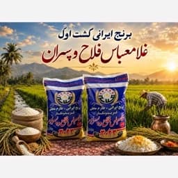 برنج طارم غلامعباس فلاح وپسران کشت اول(ارسال رایگان) — تصویر ۲